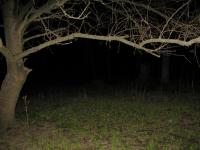 Chicago Ghost Hunters Group investigates Bachelors Grove (4).JPG